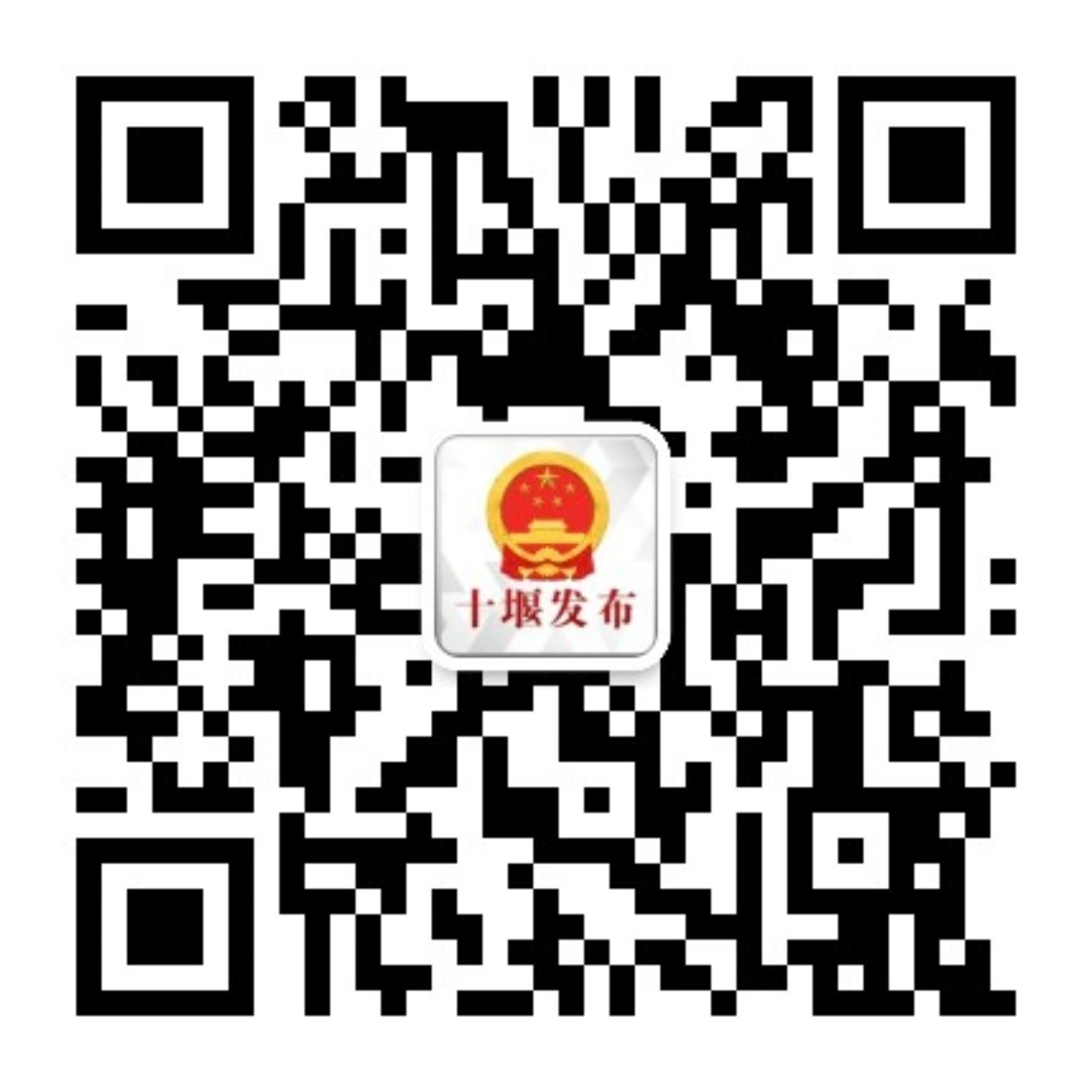 我市开展2026年市级科技计划项目路演答辩